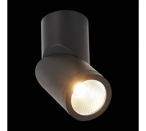 Светильник на штанге ST-Luce ST650 ST650.442.10