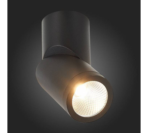 Светильник на штанге ST-Luce ST650 ST650.442.10