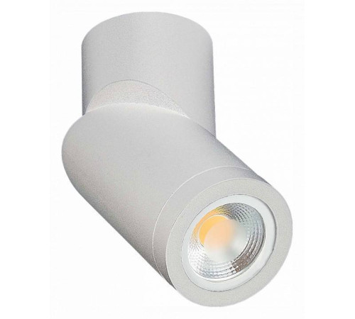 Светильник на штанге ST-Luce ST650 ST650.502.01