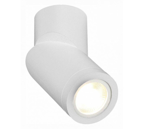 Светильник на штанге ST-Luce ST650 ST650.502.01