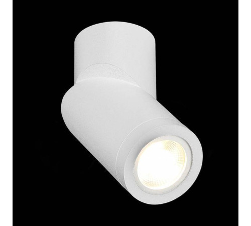 Светильник на штанге ST-Luce ST650 ST650.502.01