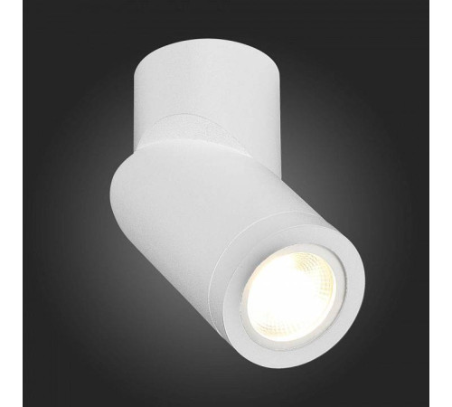 Светильник на штанге ST-Luce ST650 ST650.502.01