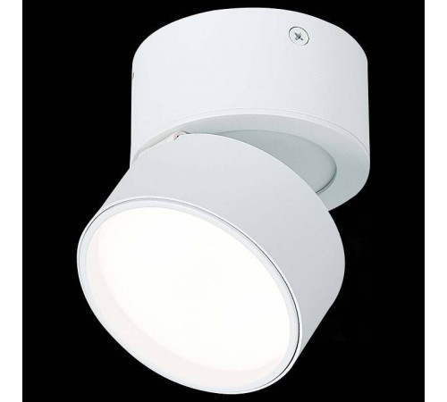 Накладной светильник ST-Luce ST651 ST651.542.09