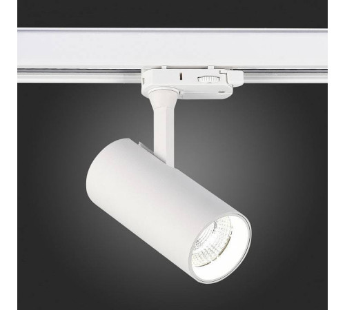 Светильник на штанге ST-Luce ST661 ST661.536.10