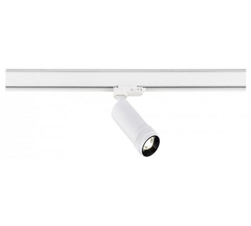 Светильник на штанге ST-Luce ST691 ST691.546.10