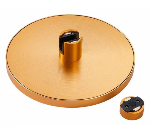 Накладной светильник ST-Luce Farm ST818.206.12