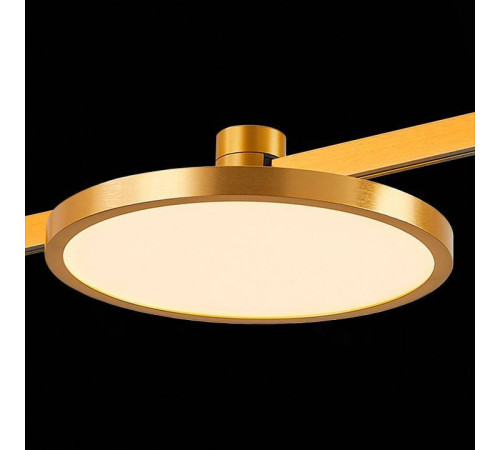 Накладной светильник ST-Luce Farm ST818.206.12