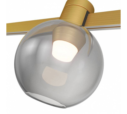 Накладной светильник ST-Luce Farm ST819.206.03