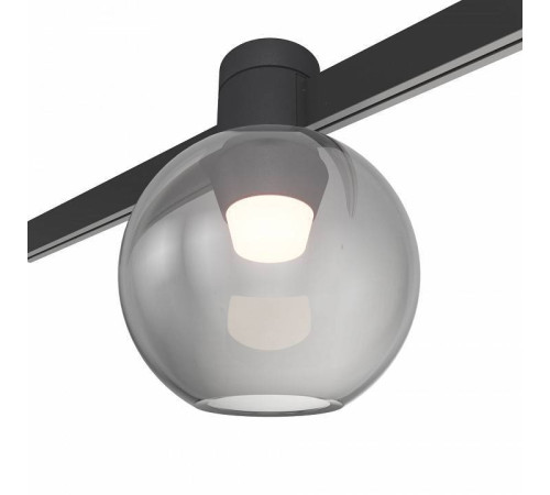 Накладной светильник ST-Luce Farm ST819.406.03