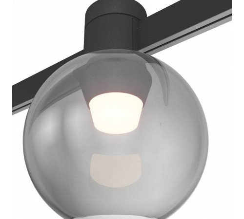 Накладной светильник ST-Luce Farm ST819.406.03