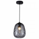 Подвесной светильник TopLight Lillian TL1218H-01BL