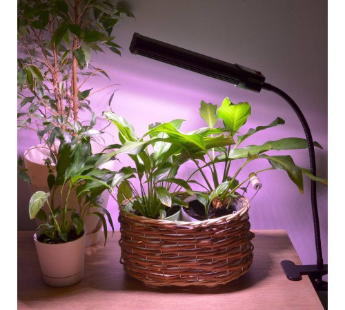 Светильник для растений Uniel ULT-P31 UL-00009251
