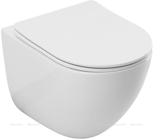 Унитаз подвесной Allen Brau Priority Tornado с сиденьем Soft-Close 505x360 мм 4.31013.20