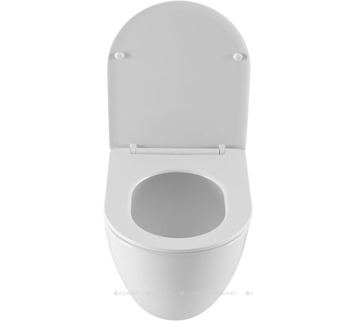 Унитаз подвесной Allen Brau Priority Tornado с сиденьем Soft-Close 505x360 мм 4.31013.20