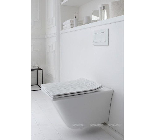 Унитаз подвесной Jacob Delafon Grands Boulevards 540х370 мм без сиденья EDW102-00