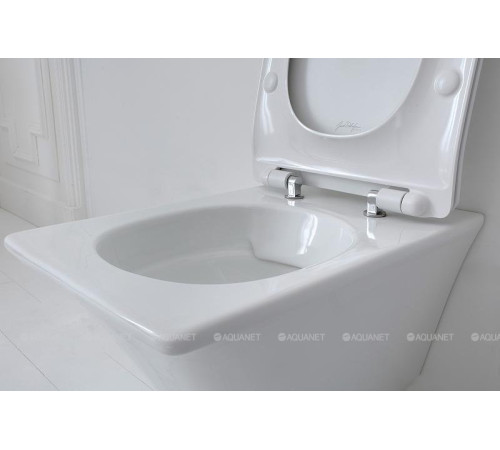 Унитаз подвесной Jacob Delafon Grands Boulevards 540х370 мм без сиденья EDW102-00