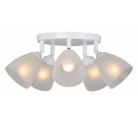 Потолочная люстра Vitaluce V4355 V4355-0/5PL