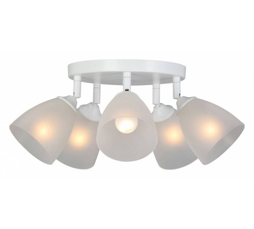 Потолочная люстра Vitaluce V4355 V4355-0/5PL
