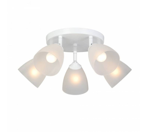 Потолочная люстра Vitaluce V4355 V4355-0/5PL