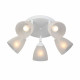 Потолочная люстра Vitaluce V4355 V4355-0/5PL