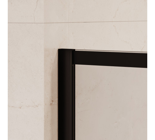 Душевая перегородка RGW Walk-In WA-019B 1000x2000 мм 351001910-84