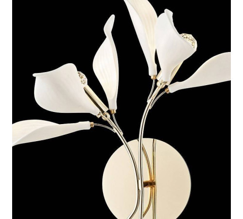 Бра Wertmark Miranda WE123.02.301