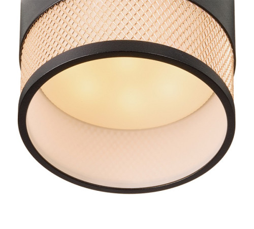 Накладной светильник Wolta Rete WSL-GX53/12BG