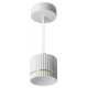 Подвесной светильник Wolta NIMB WSL-GX53/P18WG