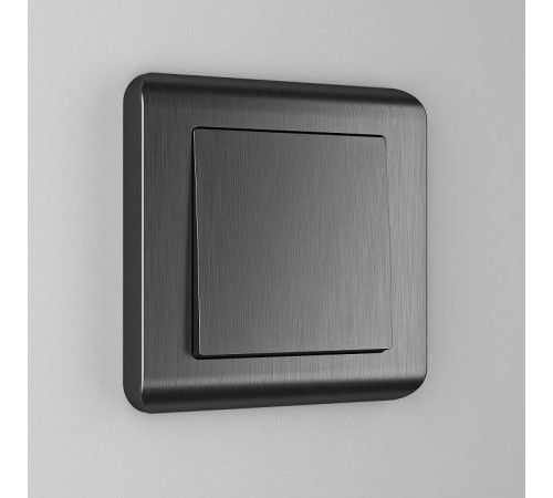 Выключатель одноклавишный без рамки Werkel графит рифленый W1110004