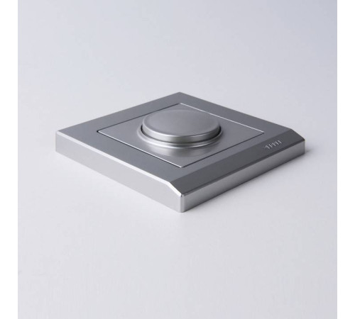 Рамка на 1 пост Werkel Stark 2 W0011806