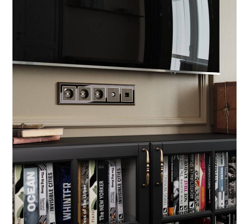 Накладка для ТВ-розетки Werkel бронзовый W1193012