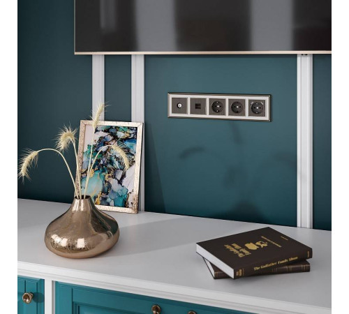 Накладка для ТВ-розетки Werkel бронзовый W1193012