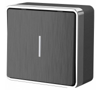 Выключатель одноклавишный с подсветкой Werkel Gallant 3 W5010104