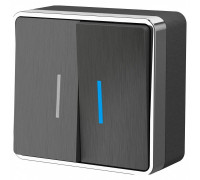 Выключатель двухклавишный с подсветкой Werkel Gallant 3 W5020104