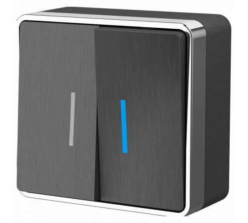 Выключатель двухклавишный с подсветкой Werkel Gallant 3 W5020104