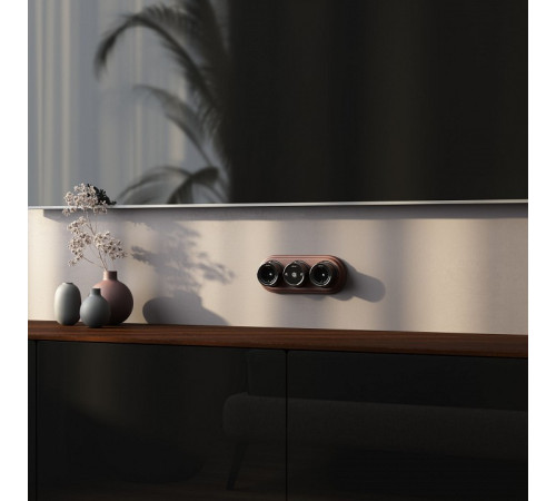 ТВ-розетка Werkel W5683008