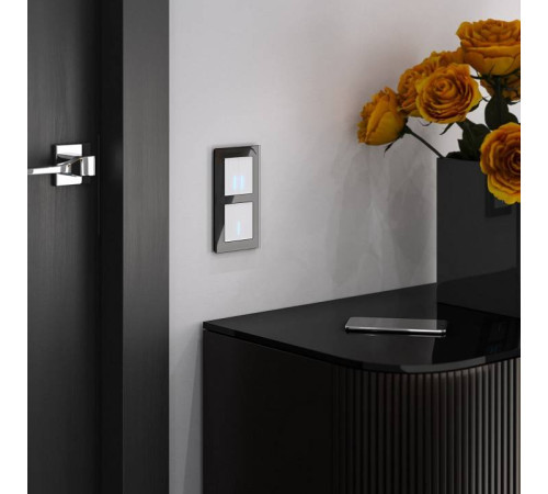 Выключатель сенсорый двухклавишный с подсветкой, без рамки Werkel белый W4520001