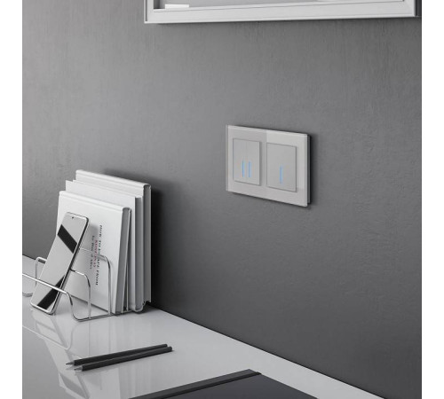 Выключатель сенсорый двухклавишный с подсветкой, без рамки Werkel серебряный W4520006