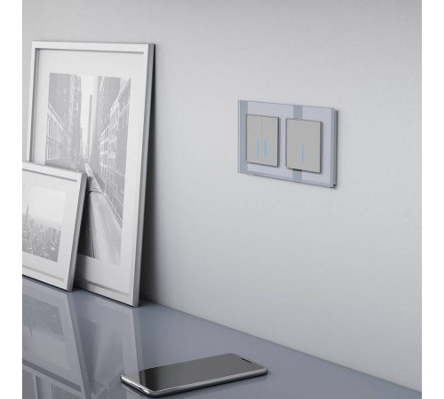 Выключатель сенсорый двухклавишный с подсветкой, без рамки Werkel серебряный W4520006