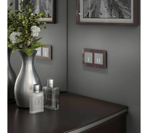 Выключатель сенсорый двухклавишный с подсветкой, без рамки Werkel серебряный W4520006