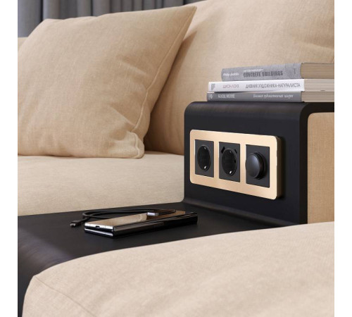 Рамка на 3 поста Werkel Platinum шампань W0032611