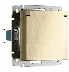 Розетка влагозащищенная с заземлением и со шторкой, без рамки с крышкой Werkel шампань рифленый W1171210