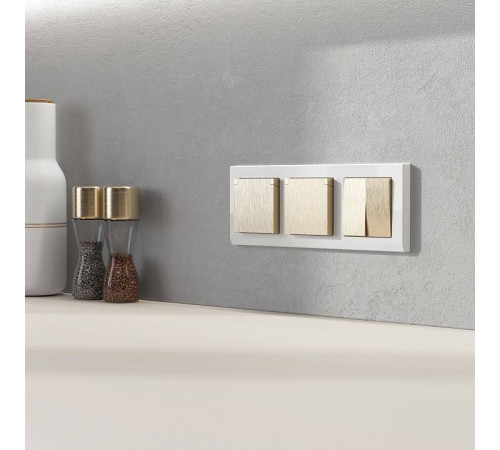 Розетка влагозащищенная с заземлением и со шторкой, без рамки с крышкой Werkel шампань рифленый W1171210