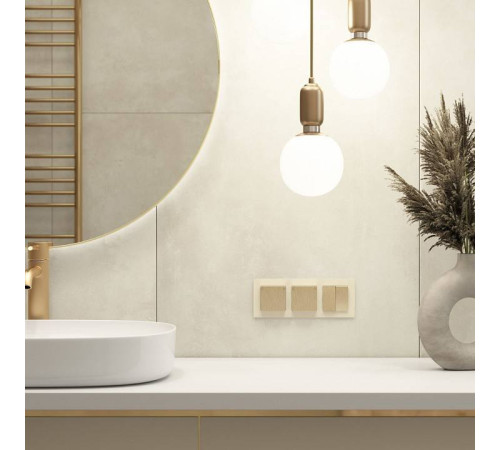 Розетка влагозащищенная с заземлением и со шторкой, без рамки с крышкой Werkel шампань рифленый W1171210