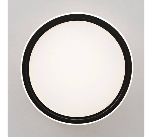 Накладной светильник Zortes GALO ZRS.10112.01