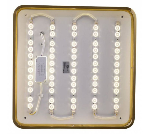 Накладной светильник Zortes Monna ZRS.1209.03