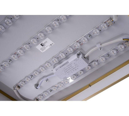 Накладной светильник Zortes Monna ZRS.1209.03