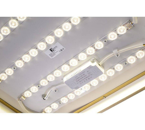 Накладной светильник Zortes Monna ZRS.1209.03