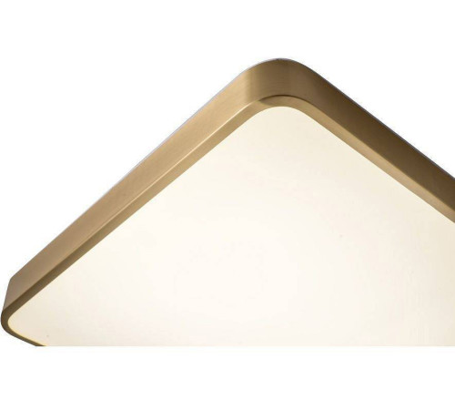 Накладной светильник Zortes Monna ZRS.1209.03