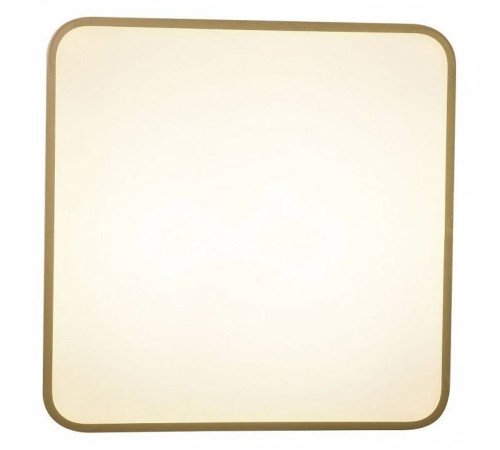 Накладной светильник Zortes Gabby ZRS.1215.03